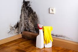 Best Asbestos and Lead Testing During Mold Inspection  in East Camden, AR